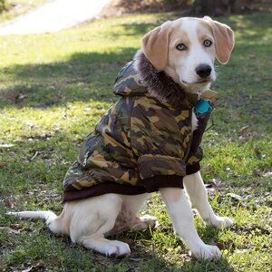 Dog Parka with 3M Insulation